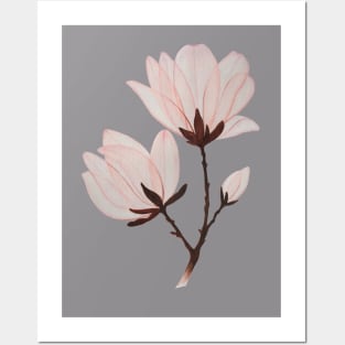 Magnolia Posters and Art